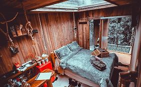Cabana Da Arvore - Forestplace